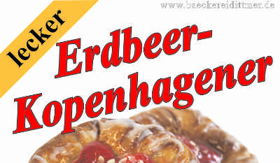  Banner Kopenhagener Erdbeere